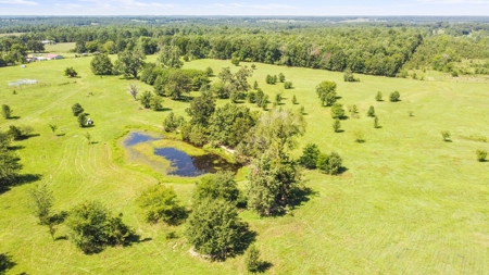 Beautiful Farm w/ Lush Pasture in West Plains, MO for Sale - image 11