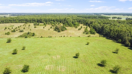 Beautiful Farm w/ Lush Pasture in West Plains, MO for Sale - image 8