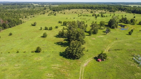Beautiful Farm w/ Lush Pasture in West Plains, MO for Sale - image 2