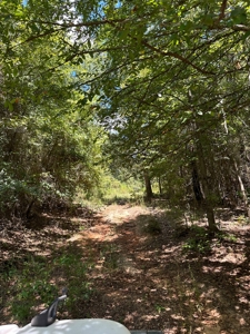 4 Bed 3 Bath Country Home & 55+/- Acres For Sale Valliant Ok - image 43
