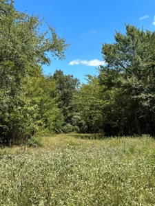 4 Bed 3 Bath Country Home & 55+/- Acres For Sale Valliant Ok - image 37