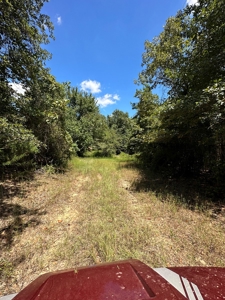 4 Bed 3 Bath Country Home & 55+/- Acres For Sale Valliant Ok - image 38