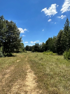 4 Bed 3 Bath Country Home & 55+/- Acres For Sale Valliant Ok - image 47