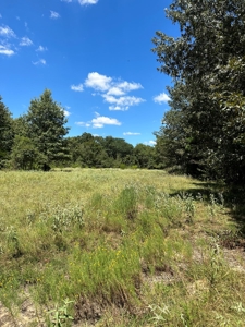 4 Bed 3 Bath Country Home & 55+/- Acres For Sale Valliant Ok - image 35