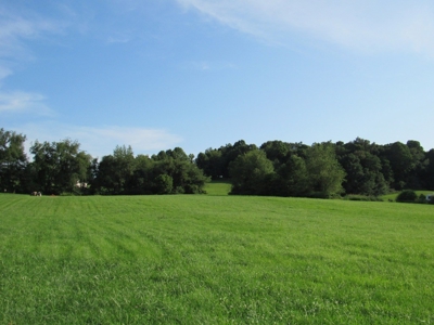 Large Level Lot for Sale at Auction in Abingdon VA - image 3