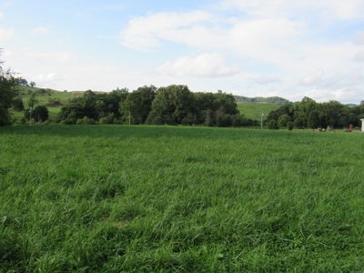 Large Level Lot for Sale at Auction in Abingdon VA - image 7