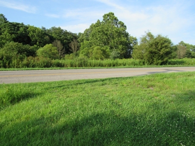Large Level Lot for Sale at Auction in Abingdon VA - image 2