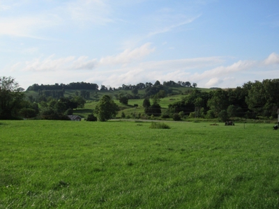 Large Level Lot for Sale at Auction in Abingdon VA - image 6