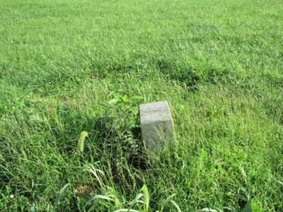 Large Level Lot for Sale at Auction in Abingdon VA - image 4