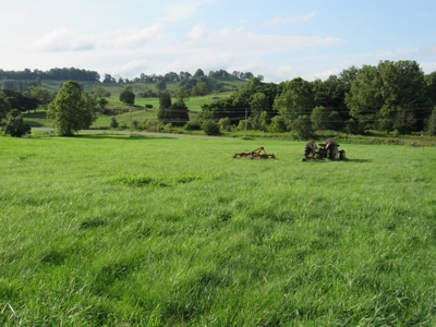 Large Level Lot for Sale at Auction in Abingdon VA - image 5