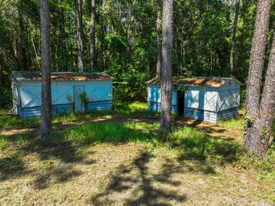 69 acres on the Santa Fe River for sale! - image 9
