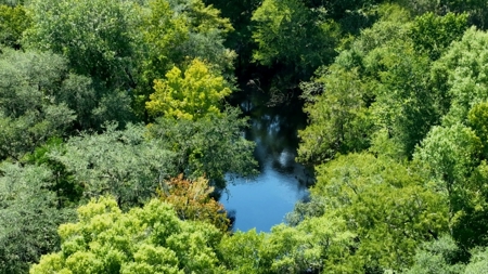 69 acres on the Santa Fe River for sale! - image 21
