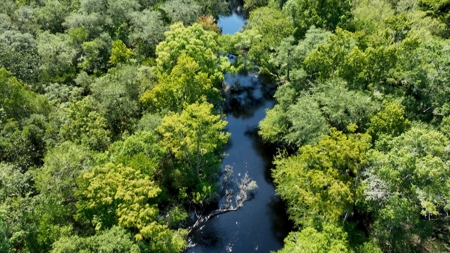 69 acres on the Santa Fe River for sale! - image 25