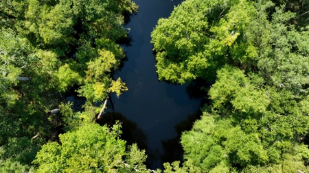 69 acres on the Santa Fe River for sale! - image 24