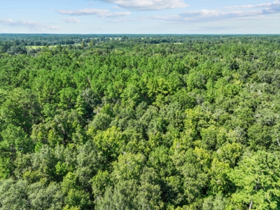 69 acres on the Santa Fe River for sale! - image 14
