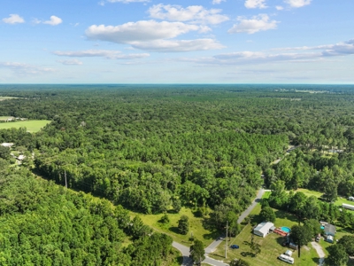 69 acres on the Santa Fe River for sale! - image 16