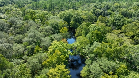 69 acres on the Santa Fe River for sale! - image 26
