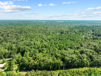 69 acres on the Santa Fe River for sale! - image 15
