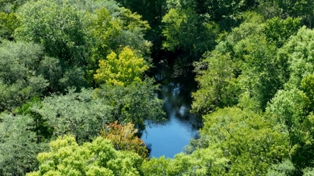 69 acres on the Santa Fe River for sale! - image 22
