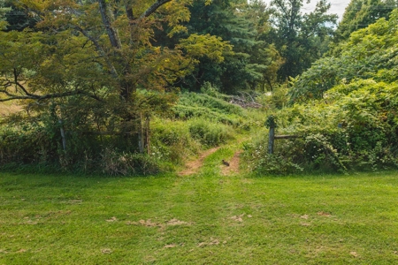 Brick Ranch Home for Sale in Pilot VA - image 10