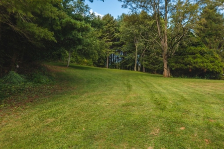 Brick Ranch Home for Sale in Pilot VA - image 12