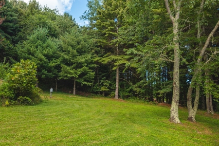 Brick Ranch Home for Sale in Pilot VA - image 13
