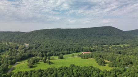 Mill Creek at Burnham Mountain "Creek Tract" for Sale AR - image 11