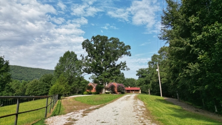 Mill Creek at Burnham Mountain "Creek Tract" for Sale AR - image 22