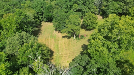 Mill Creek at Burnham Mountain "Creek Tract" for Sale AR - image 37