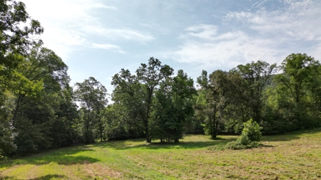 Mill Creek at Burnham Mountain "Creek Tract" for Sale AR - image 39