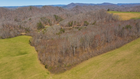 104.58 Unrestricted Acres for sale in Tazewell, TN - image 10