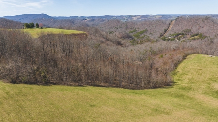 104.58 Unrestricted Acres for sale in Tazewell, TN - image 25