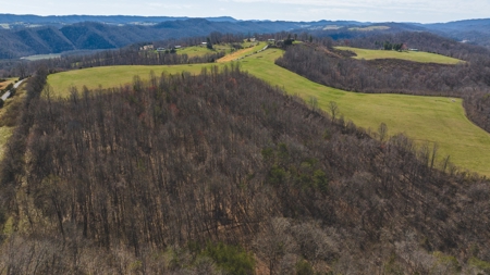 104.58 Unrestricted Acres for sale in Tazewell, TN - image 16