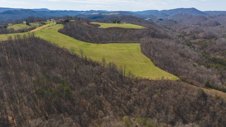 104.58 Unrestricted Acres for sale in Tazewell, TN - image 17