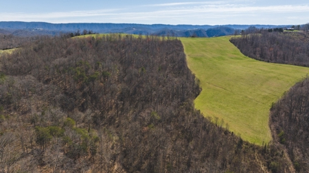 104.58 Unrestricted Acres for sale in Tazewell, TN - image 18