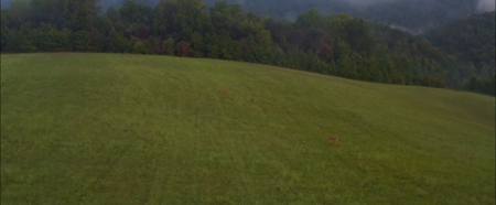 104.58 Unrestricted Acres for sale in Tazewell, TN - image 9