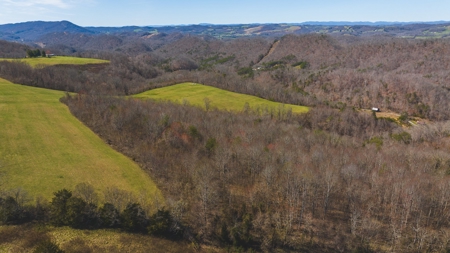 104.58 Unrestricted Acres for sale in Tazewell, TN - image 15