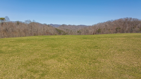 104.58 Unrestricted Acres for sale in Tazewell, TN - image 21