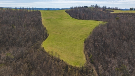 104.58 Unrestricted Acres for sale in Tazewell, TN - image 19