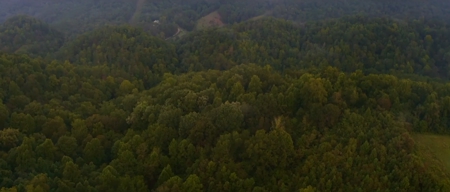 104.58 Unrestricted Acres for sale in Tazewell, TN - image 6