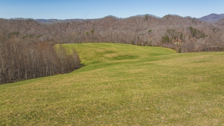 104.58 Unrestricted Acres for sale in Tazewell, TN - image 24