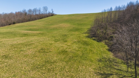 104.58 Unrestricted Acres for sale in Tazewell, TN - image 20