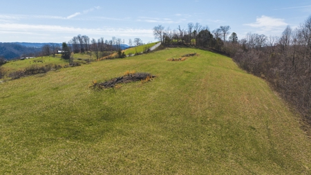 104.58 Unrestricted Acres for sale in Tazewell, TN - image 22