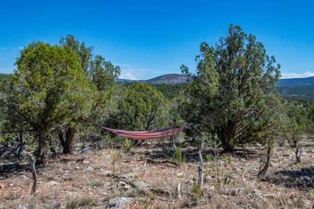 Improved property for sale borders State Trust Land - image 26