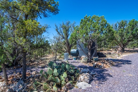 Improved property for sale borders State Trust Land - image 25