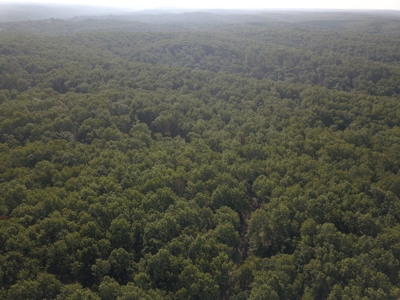 85 +/- acre property nestled on CR 4270 in Salem, MO! - image 2