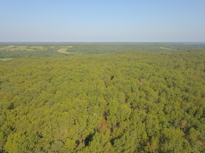 85 +/- acre property nestled on CR 4270 in Salem, MO! - image 7
