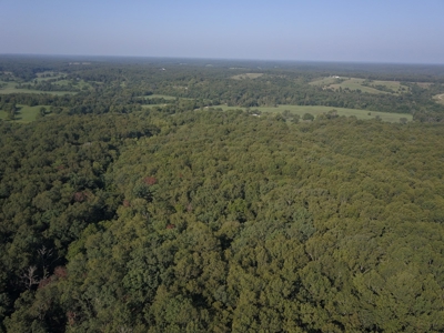 85 +/- acre property nestled on CR 4270 in Salem, MO! - image 6