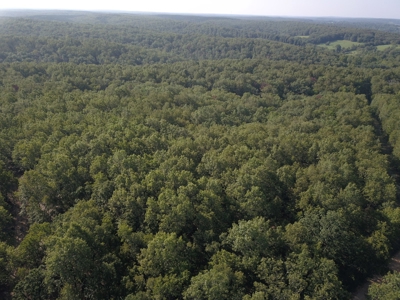 85 +/- acre property nestled on CR 4270 in Salem, MO! - image 11