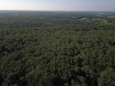 85 +/- acre property nestled on CR 4270 in Salem, MO! - image 1